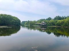 -溱湖国家湿地公园