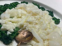 碧绿鲍菇炒元贝-二十四单 淮扬新味