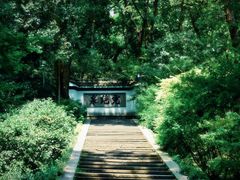 -虎跑公园