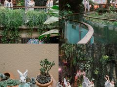 -正佳雨林生态植物园