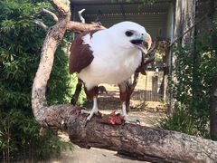 -费瑟代尔野生动物园