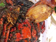 -纽顿熟食中心
