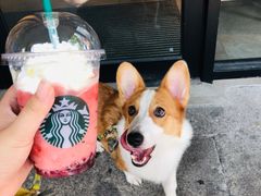 -星巴克(绍兴柯桥柯岩景区店)