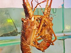 -碗中海·蒸汽海鲜·桑拿鸡(岭南天地店)