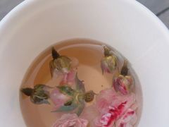 -碧水湾温泉