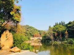 -云溪植物园