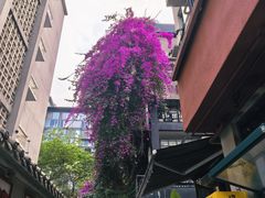 -奎星楼街