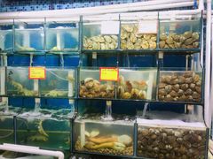 -蚝专家(北滘店)