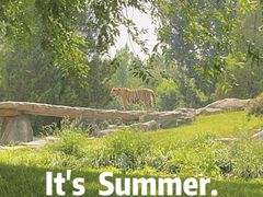 -北京野生动物园