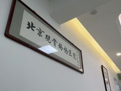 -北京观赏动物医院·24小时大型综合·猫专科·异宠专科