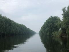 -白洋淀景区