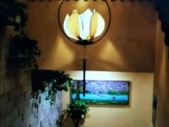 -棕南海水疗会所