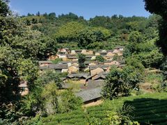 -杨家堂村