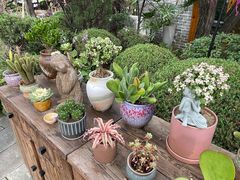 -熙古里艺术村