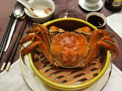 -巨鹿春晓(静安寺店)
