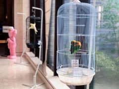 -上海崇明金茂凯悦酒店