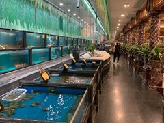 水产区-万宝海鲜舫(劳动公园店)