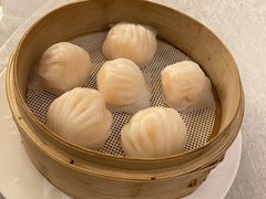 -金粤九号(李公堤店)