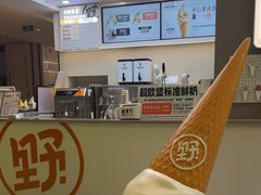 -野人先生现做冰淇淋(北京悠唐购物中心店)