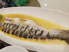 金汤白鱼-全聚德(新街口店)