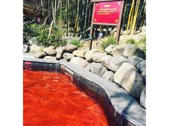 -江南天池