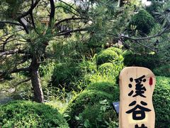 -熙古里艺术村