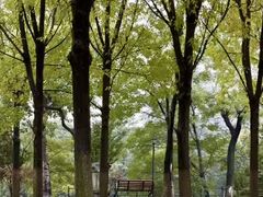 -莲湖公园