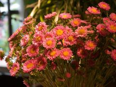 -春暖花开(西溪店)