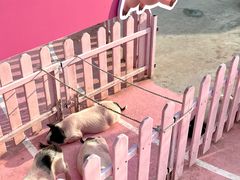 -渔岛海洋度假区