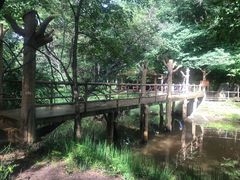 -茅兰沟国家森林公园