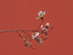 -东华门大街小区