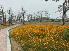 -芒洲湿地公园