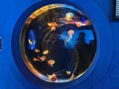 -太平洋海底世界