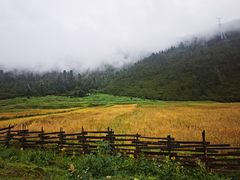-鲁朗纳麦石锅鸡庄园
