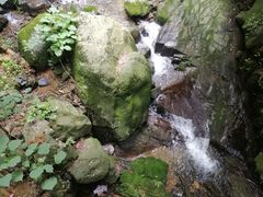 -藏龙百瀑风景区