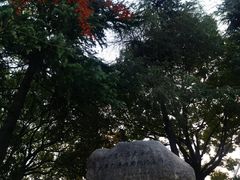 -紫金山山顶公园