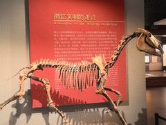 -齐齐哈尔市博物馆
