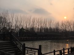 -溱湖国家湿地公园