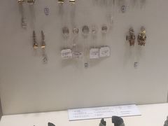 -吉林省自然博物馆