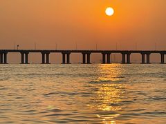 -宝安西湾红树林湿地公园