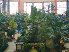 -郑州银基黄帝宫御温泉