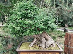 -北京灵山风景区