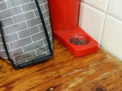 -川海丰尚砂锅麻辣烫(人和街分店)