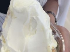 -Salud撒露欧洲冻酸奶(蓝色港湾店)