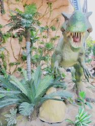 点击看大图 -宝燕乐园(闵行旗舰店)