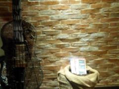android_upload_pic-栖巢咖啡(天鹅湖万达低碳店)