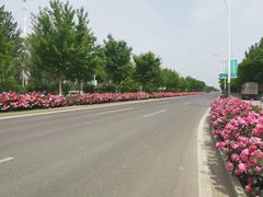 -东郊湿地公园