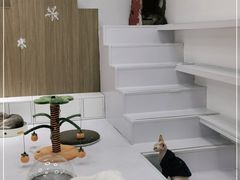 -COLOR PETS 撸猫馆·购猫·猫咖(长风大悦城店)