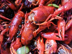 麻辣小龙虾-食鸡公社辣子鸡·潍坊菜·烧烤