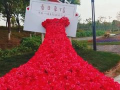 -春花秋色城市公园